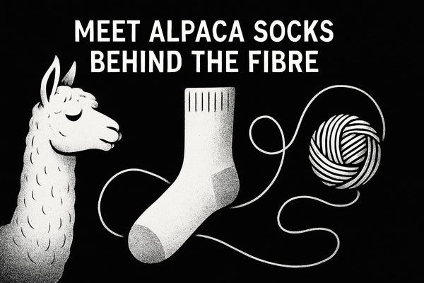Meet Alpaca Socksbehind the Fibre: The Essential Guide 2026