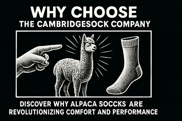 Why Choose The Cambridgesock Company Alpaca Socks: 2026 Guide