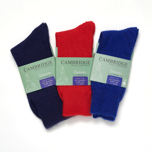 Mohair Everyday Sock Bundle of 3 - The Darwin
