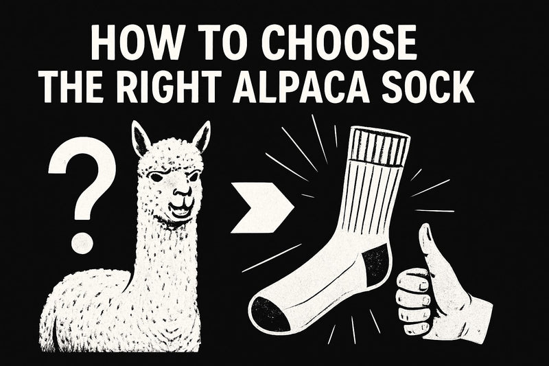How to Choose the Right Alpaca Sock: Expert Guide 2026