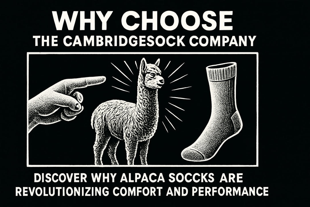 Why Choose The Cambridgesock Company Alpaca Socks: 2026 Guide