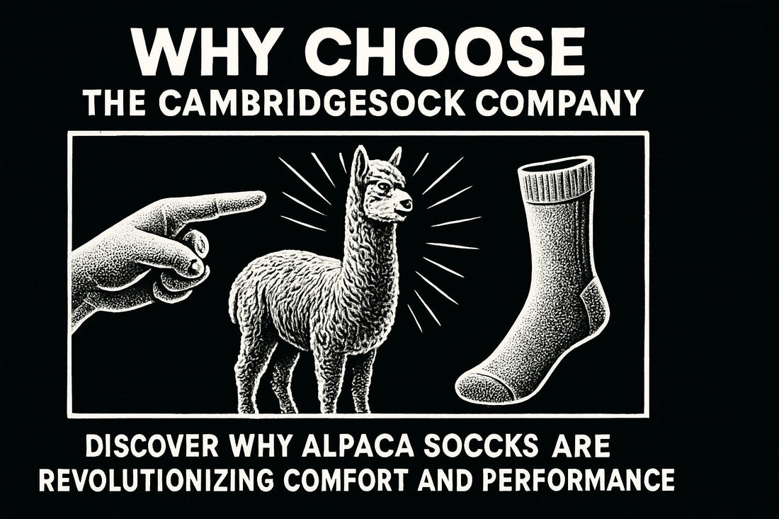 Why Choose The Cambridgesock Company Alpaca Socks: 2026 Guide