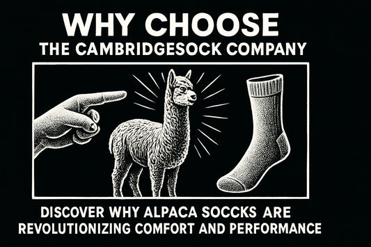 Why Choose The Cambridgesock Company Alpaca Socks: 2026 Guide