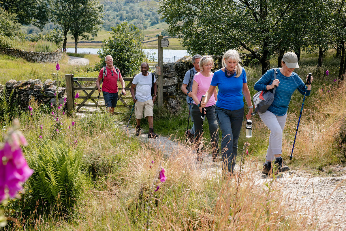 Group of walkers wearing socks outdoors
