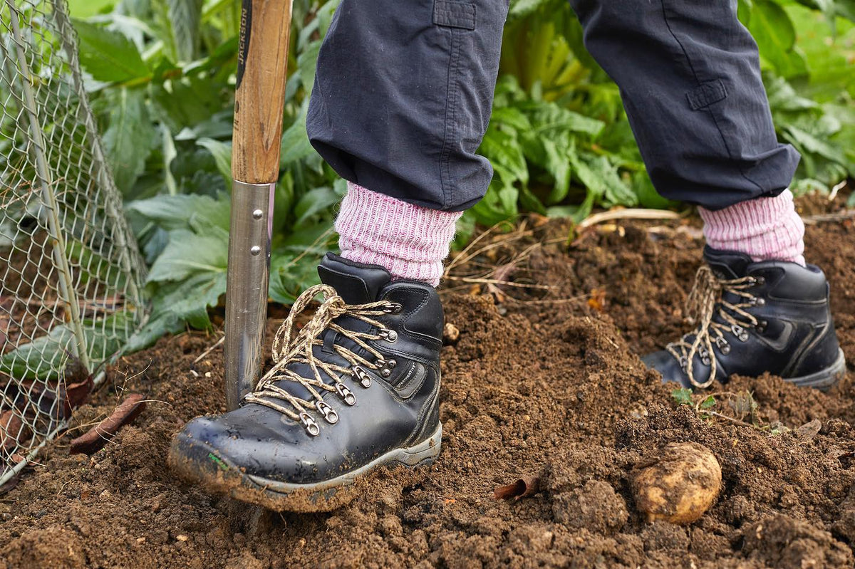 Warm socks for everyday wear
