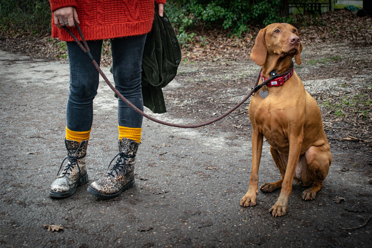 British countryside walking in socks
