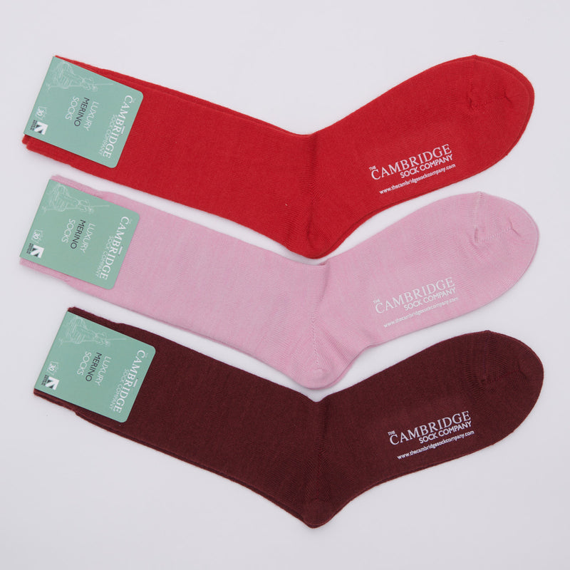 Merino Crew Sock Bundle of 3 - The King