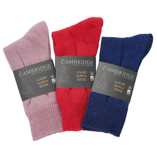 Everyday Alpaca Bundle of 3